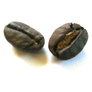Kenia Arabica AB 100g