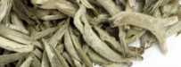 China Guangxi White Bud "Silver Needle"
