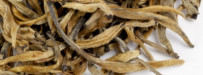 China "Yunnan Golden Bud Mao Feng" Schwarzer Tee China (2025)