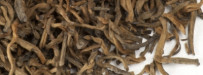 China "Golden Pu-Erh"