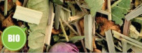 Kräutertee "Gipfelglück" aromatisiert BIO herbal tea organic (2025) herbs orange grapefruit