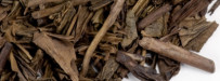 Japan "Kagoshima Hojicha" BIO