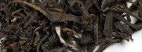 VIETNAM "Green Che Shan Tuyet" BIO Grüner Tee Grün Tee green tea (2025)