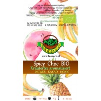 Spicy Choc Früchtetee aromatisiert BIO 